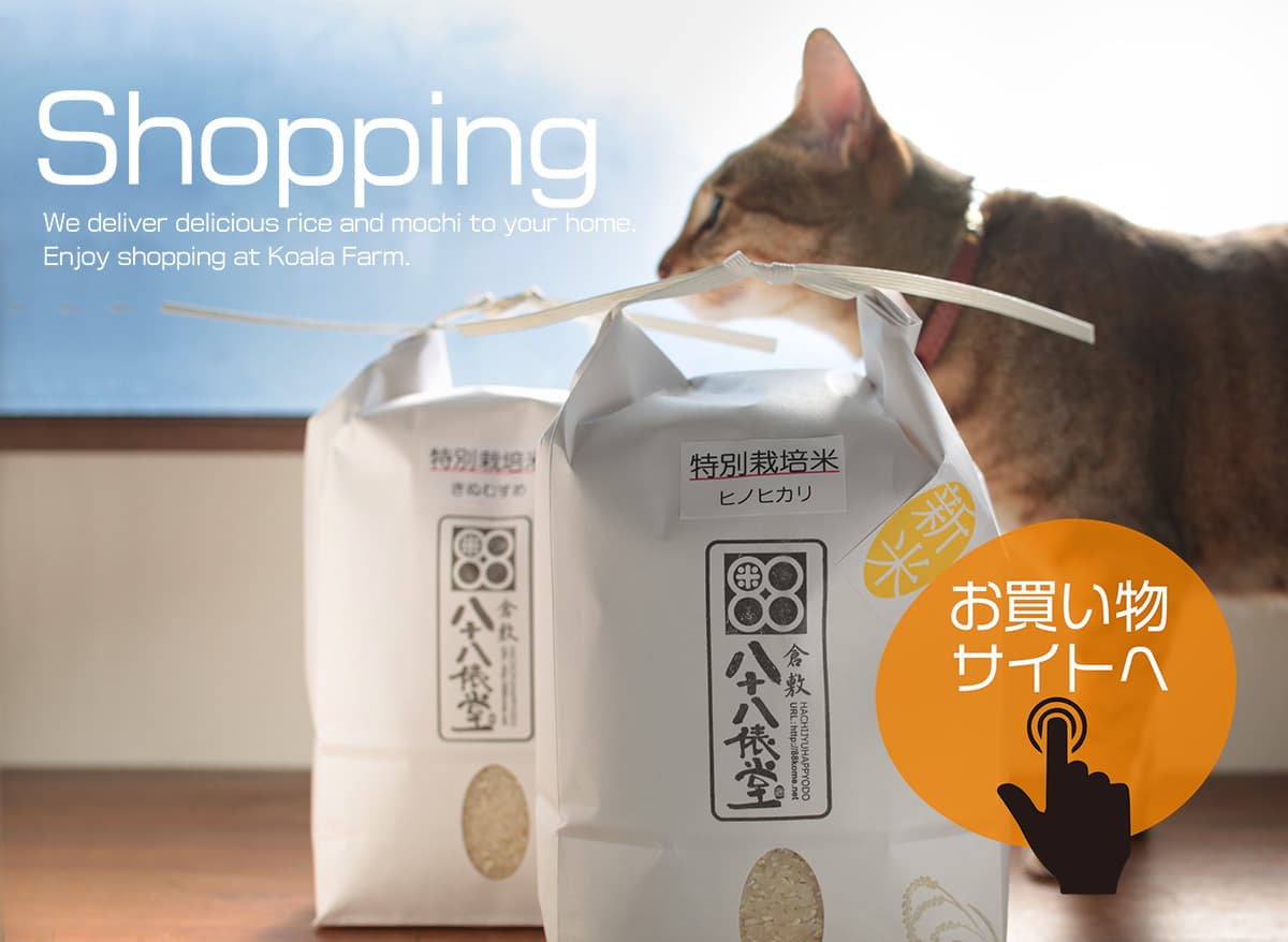 倉敷からお米の通販